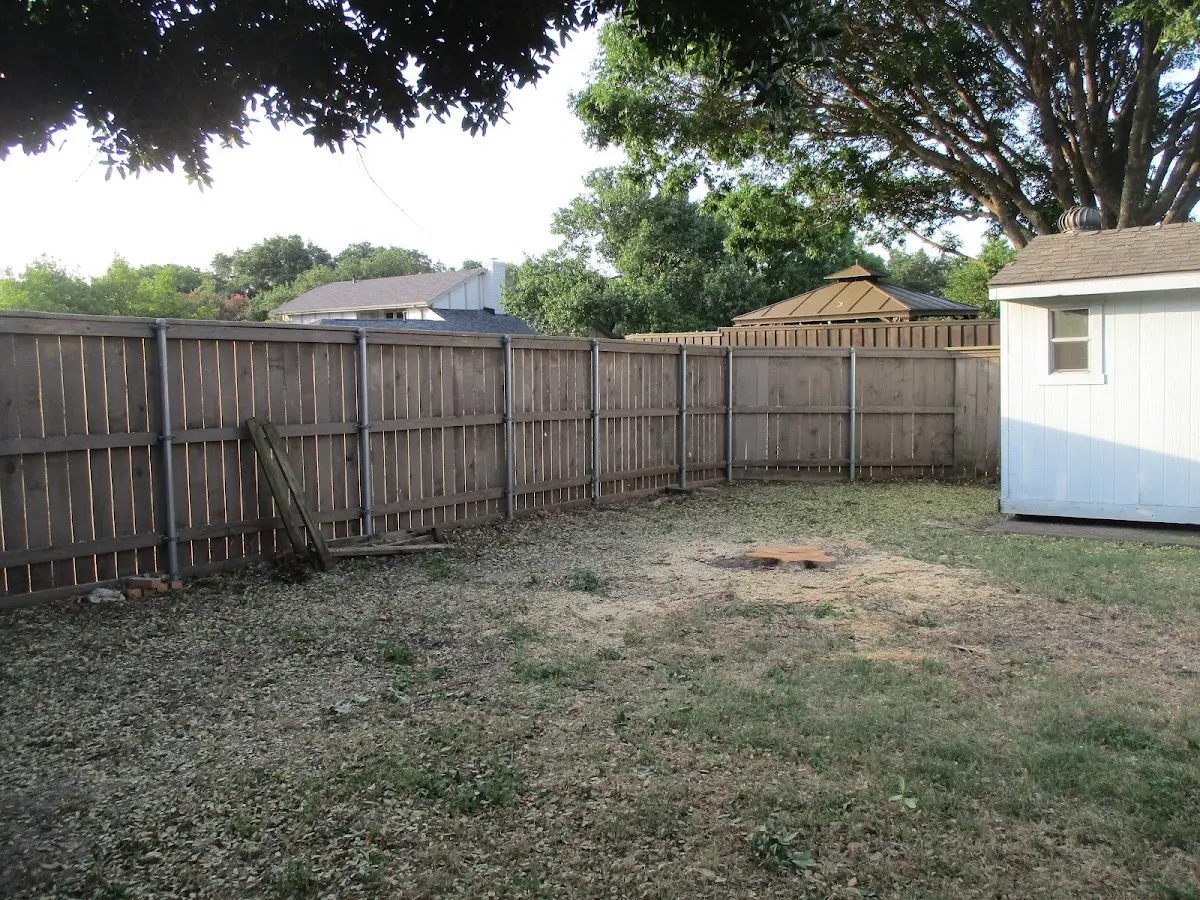 Cleared yard after professional tree removal in Lacrosse