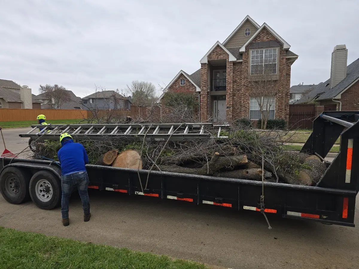Expert Tree Pest Control with proper safety equipment in Lacrosse